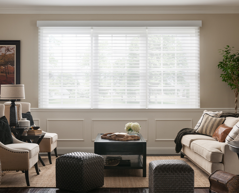 horizontal sheer blinds