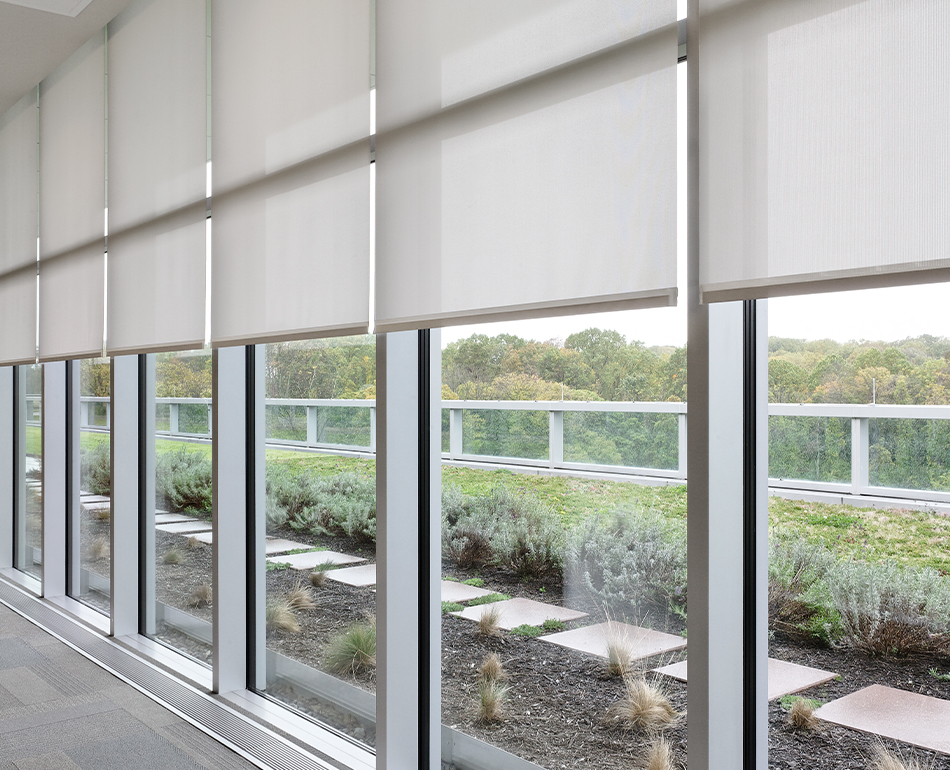 SAP Green Roof